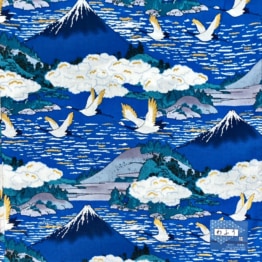 image0