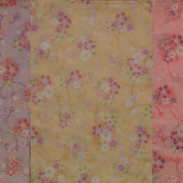 MKカラー桜　紫・黄・ピンク